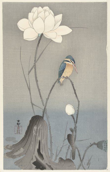 Eisvogel Mit Lotusblume Von Ohara Koson Kunstdruck Kaufen