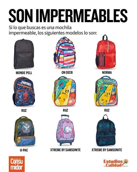 Las Cinco Mejores Mochilas Para El Regreso A Clases 2023 Profeco