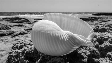 Images Gratuites Plage Mer La Nature Le Sable Roche Oc An Nuage