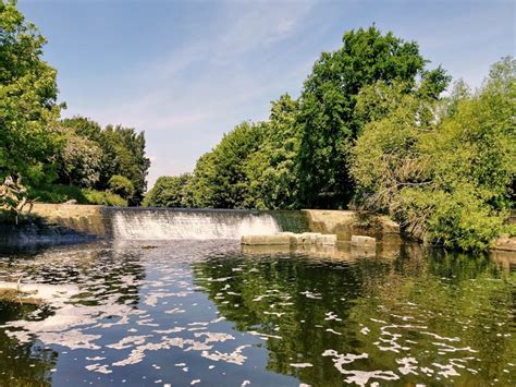 Appeal launched to help spot and record River Aire pollution - West Leeds Dispatch