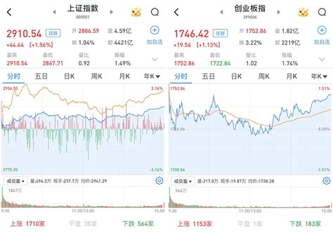 A股迎来龙年开门红：ai概念股涨停潮，沪指站上2900点牛市点线面澎湃新闻 The Paper