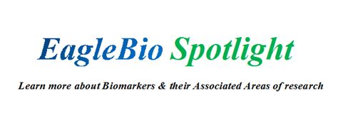 Biomarker Spotlight Zonulin Eagle Biosciences