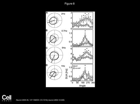 Phase Locking Of Single Neuron Activity To Theta Oscillations During