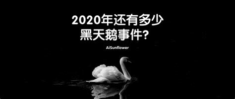 2020年还有多少黑天鹅事件？ 知乎