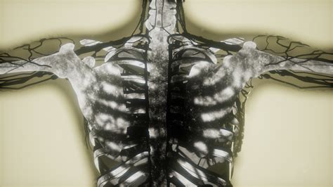 Chest X Ray Stock Photos, Images and Backgrounds for Free Download