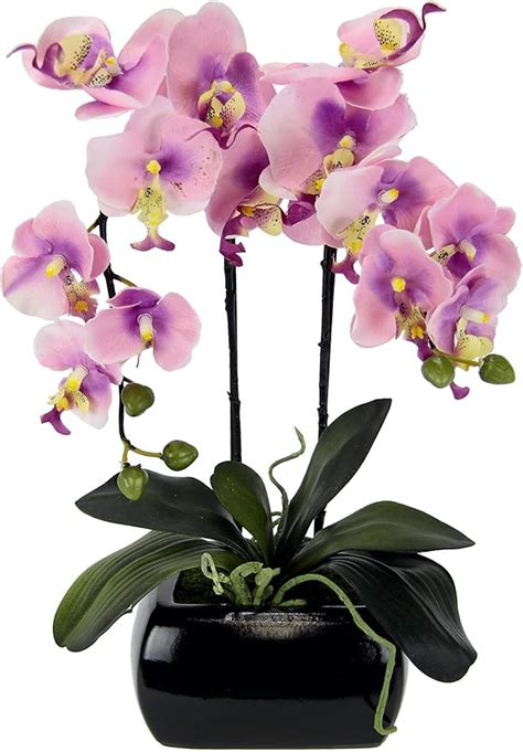 Amazon de Kunstblume Schmetterling Orchidee mit Blätter und