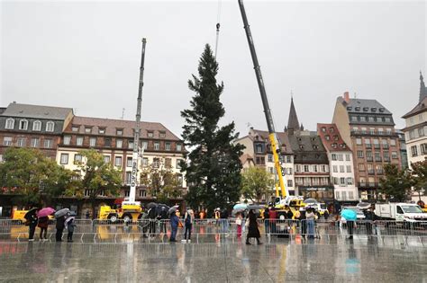 Festivités Strasbourg le grand sapin de Noël trône place Kléber