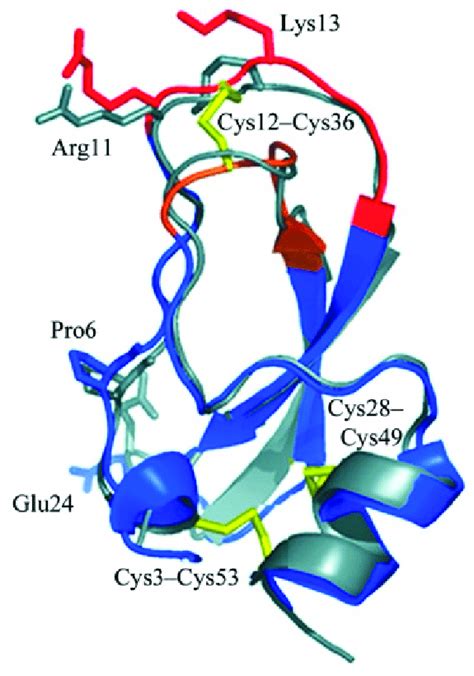 Structure Of A Classic Kunitz Like Trypsin Inhibitor Rshpi 1a The Download Scientific Diagram