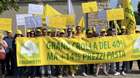 Coldiretti Allarme Grano Italiano Prezzi A 40 33 Centesimi Al