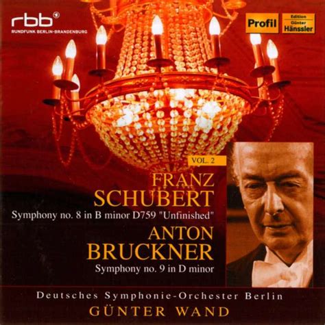 G Nter Wand Das Deutsche Symphonie Orchester Berlin Vol Cds Jpc