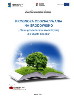 Podsumowanie Procedury Strategicznej Oceny Oddzia Ywania Na