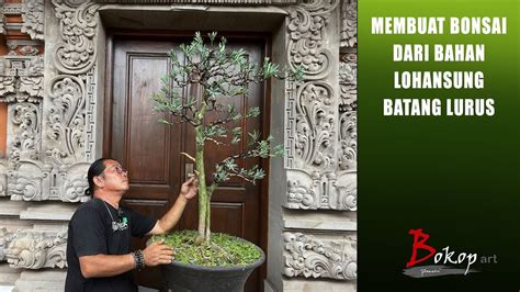 Membuat Bonsai Dari Bahan Lohansung Batang Lurus Youtube