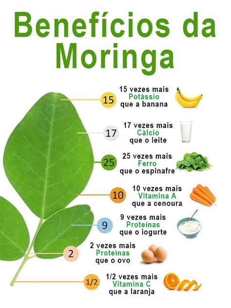 Os Benef Cios Da Moringa Para Sa De Moringa Ac Ciabranca