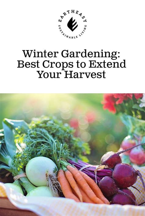 winter gardening  crops  extend  harvest