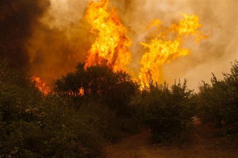 Los Factores Que Explican El Aumento De Incendios Forestales