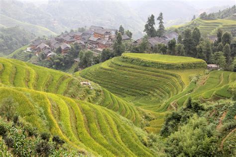 Photo: Magnificent Longsheng Rice Terraces in China