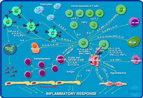 World Of Biochemistry Blog About Biochemistry Metabolic Map About