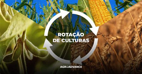 Rotação de culturas na prática: o que é e como fazer e quais os benefícios?