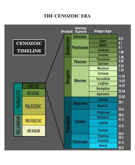 The Cenozoic — Lask Fossil Collection