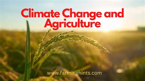 Climate Change and Agriculture - FarMing HinTs