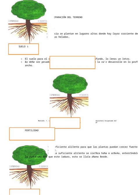 DOCX Preparacion Del Terreno De Durazno DOKUMEN TIPS