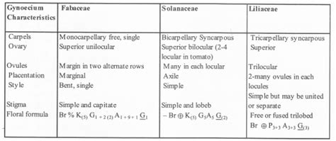 Ncert Exemplar Solutions For Class Biology Chapter Morphology Of