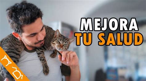 Beneficios Científicamente Comprobados De Tener Un Gato En Casa YouTube