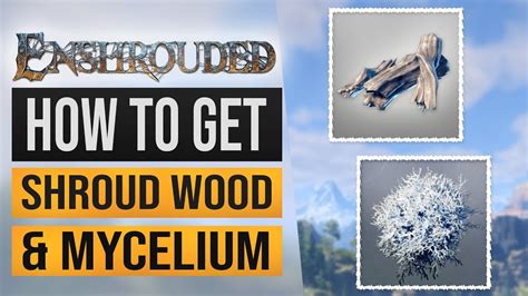 Enshrouded How To Get Shroud Wood And Mycelium Location Youtube