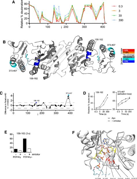 Figure 3 From The Function Of Phosphatidylinositol 5 Phosphate 4 Kinase γ Pi5p4kγ Explored