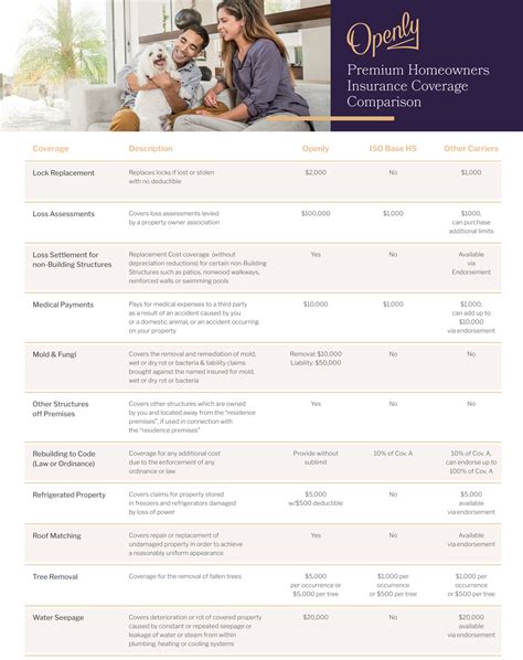 Openly Homeowners Insurance | Anderson Insurance Group