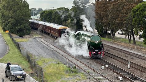 A Wonderland Of Steam Hunter Valley Steamfest 2023 Youtube