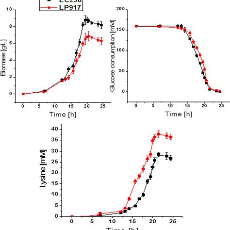 Biomass Lysine Production And Glucose Consumption Of C Glutamicum