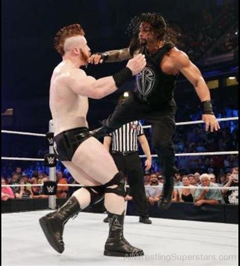 Roman Reigns Applying Superman Punch On Sheamus - Harpreetsandhu Photo (39358408) - Fanpop