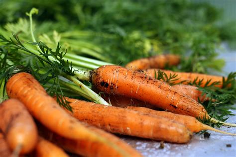 Carrot Harvest Time Uk at Christopher Cummings blog