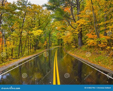 Fall Foliage Wet Road in Vermont, USA Stock Photo - Image of foliage ...