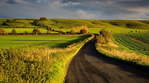 Field Landscape Plants England Sunset Hill Wiltshire UK Nature