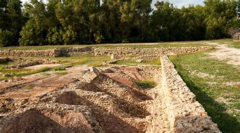 Activities, Guided Tours and Day Trips in Nabeul - Civitatis.com