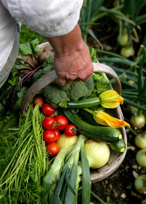 gardener    frustrated gardener