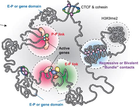 Research Huakun S Lab