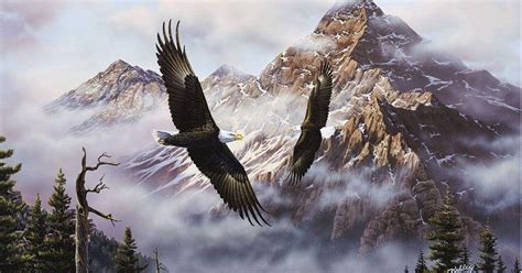 top   eagle wallpaper full hd