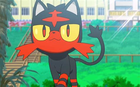 19 Facts About Litten