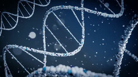 The Differences Between DNA and RNA Explained With Diagrams - Owlcation