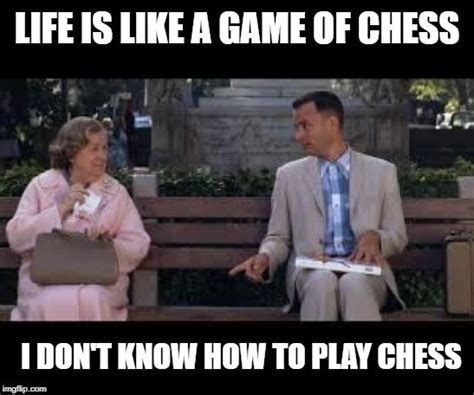 forrest gump box of chocolates | Forrest gump, Forrest gump memes, Best movie quotes