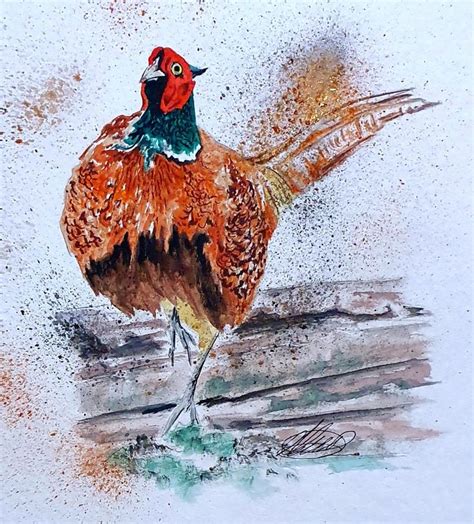 Pheasant watercolour | Fine art gifts, Art gift, Original watercolors