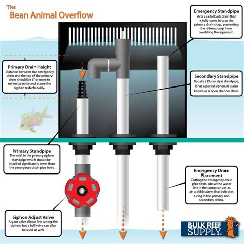 A Diagram Showing How To Use An Animal Overflower