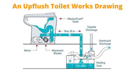 Learn About How Does An Upflush Toilet Work While You Work From Home