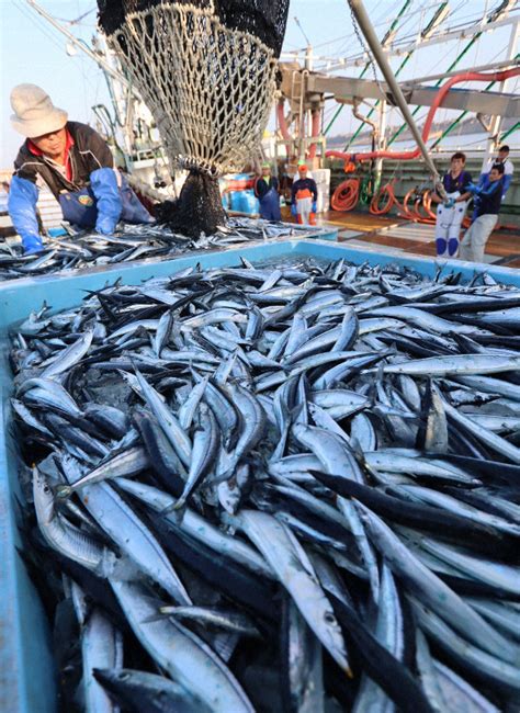 銚子漁港が年間水揚げ量日本一に 9年連続 サバ、イワシが好調 毎日新聞