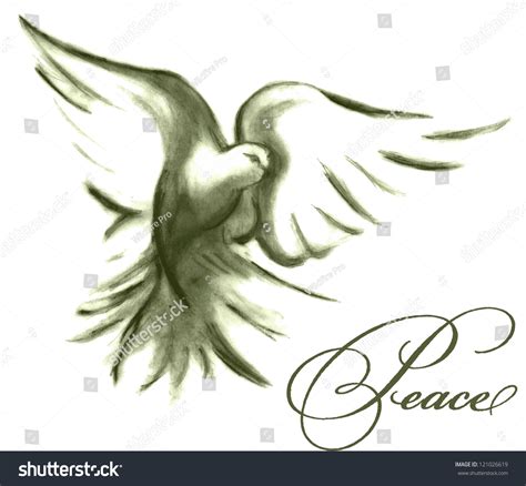 Dove Of Peace Sketched Stock Vector Illustration 121026619 : Shutterstock