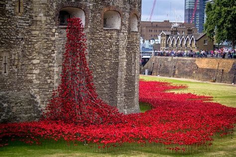 In Remembrance: Poppies at the Tower of London