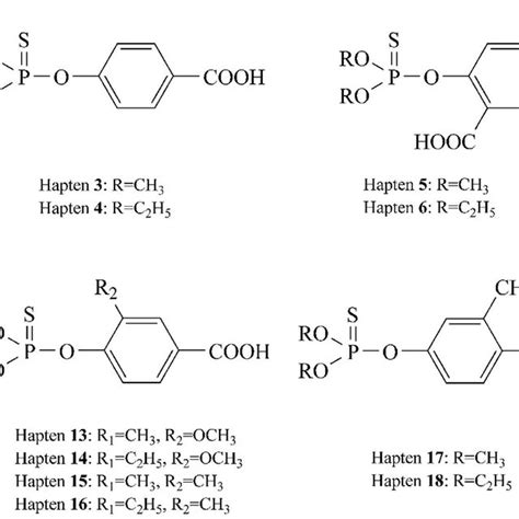 Structures Of Chemosynthesized Haptens Download Scientific Diagram